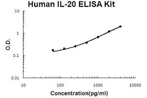 Human IL-20 Accusignal ELISA Kit Description Human IL-20 AccuSignal ELISA Kit standard curve. (IL-20 Kit ELISA)