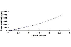 Typical standard curve (VEGF183 Kit ELISA)