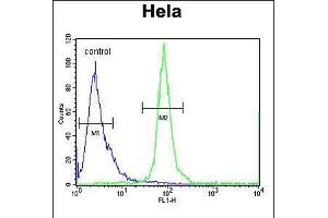 Flow cytometric analysis of Hela cells (right histogram) compared to a negative control cell (left histogram). (ESCO2 anticorps  (AA 132-161))