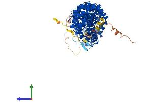 AlphaFold protein structure predicition of Mouse Recombinant Kpna1 Protein, UniprotID Q60960