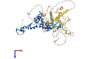 AlphaFold protein structure predicition of Mouse Recombinant Fbxo30 Protein, UniprotID Q8BJL1