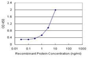 Sandwich ELISA detection sensitivity ranging from 0. (UBE2L6 (Humain) Matched Antibody Pair)
