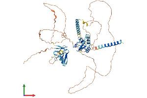 AlphaFold protein structure predicition of Mouse Recombinant Rnf180 Protein, UniprotID Q3U827
