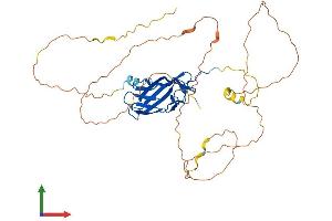 AlphaFold protein structure predicition of Human Recombinant RUNX3 Protein, UniprotID Q13761