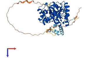 AlphaFold protein structure predicition of Human Recombinant KCNAB3 Protein, UniprotID O43448