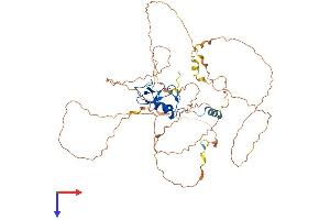 AlphaFold protein structure predicition of Human Recombinant RNF38 Protein, UniprotID Q9H0F5