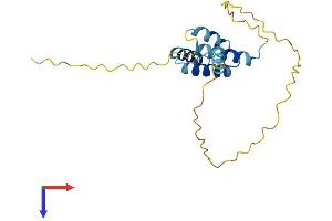 AlphaFold protein structure predicition of Human Recombinant CT45A3 Protein, UniprotID Q8NHU0