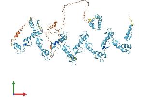 AlphaFold protein structure predicition of Human Recombinant ZNF425 Protein, UniprotID Q6IV72