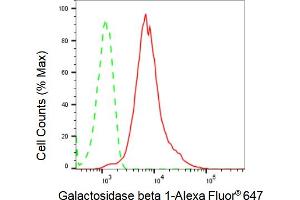 Flow cytometric analysis of Galactosidase beta 1 expression in HepG2 cells using Galactosidase beta 1 antibody (ABIN7798684), 1:2,000). (Recombinant GLB1 anticorps)