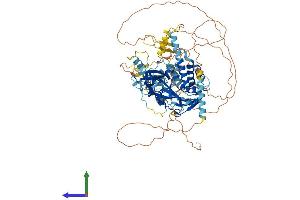 AlphaFold protein structure predicition of Human Recombinant USP16 Protein, UniprotID Q9Y5T5