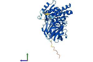 AlphaFold protein structure predicition of Human Recombinant CLP1 Protein, UniprotID Q92989