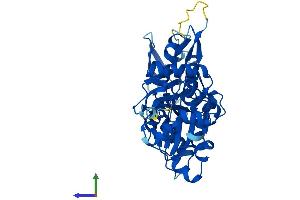 AlphaFold protein structure predicition of Human Recombinant ACTRT2 Protein, UniprotID Q8TDY3