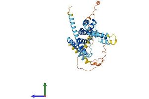 AlphaFold protein structure predicition of Mouse Recombinant Kcnk18 Protein, UniprotID Q6VV64
