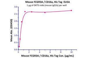 Immobilized OKT3 mAb (mouse IgG2a) at 10 μg/mL (100 μl/well) can bind Mouse FCGR3A / CD16a, His Tag (Cat# CDA-M52H8) with a linear range of 0.