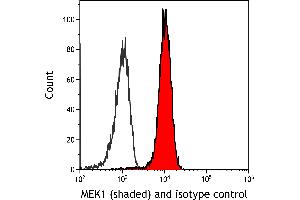 Flow Cytometry (FACS) image for anti-Mitogen-Activated Protein Kinase Kinase 1 (MAP2K1) (AA 343-393) antibody (ABIN7453331)
