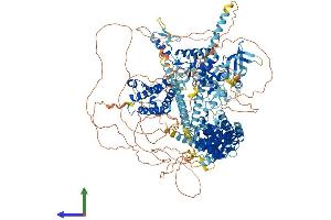 AlphaFold protein structure predicition of Mouse Recombinant Baz1b Protein, UniprotID Q9Z277