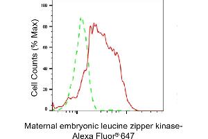 Flow cytometric analysis of Maternal embryonic leucine zipper kinase expression in HepG2 cells using Maternal embryonic leucine zipper kinase antibody (ABIN7799336), 1:2,000).