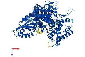 AlphaFold protein structure predicition of Human Recombinant SCFD2 Protein, UniprotID Q8WU76