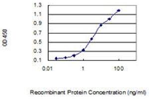 Detection limit for recombinant GST tagged BCAS4 is 0. (BCAS4 anticorps  (AA 1-173))
