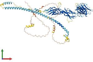 AlphaFold protein structure predicition of Human Recombinant FSD2 Protein, UniprotID A1L4K1