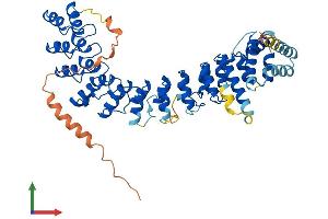 AlphaFold protein structure predicition of Mouse Recombinant Ankdd1b Protein, UniprotID Q14DN9