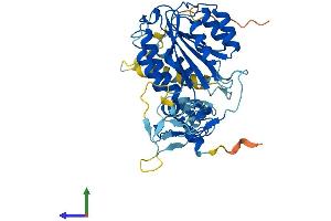 AlphaFold protein structure predicition of Human Recombinant GTF2H2 Protein, UniprotID Q13888
