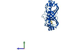 AlphaFold protein structure predicition of Human Recombinant NIPSNAP3A Protein, UniprotID Q9UFN0