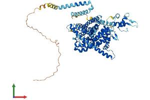 AlphaFold protein structure predicition of Mouse Recombinant Slc28a2 Protein, UniprotID O88627