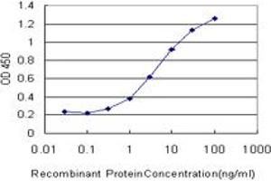 Detection limit for recombinant GST tagged CHST3 is approximately 0. (CHST3 anticorps  (AA 312-411))