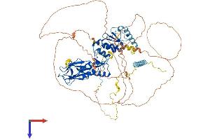 AlphaFold protein structure predicition of Human Recombinant NBN Protein, UniprotID O60934