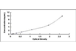 Typical standard curve (NOTCH4 Kit ELISA)