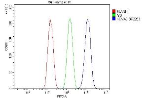 Flow Cytometry analysis of A549 cells using anti-NOVA2 antibody (ABIN7599078). (NOVA2 anticorps  (AA 1-205))