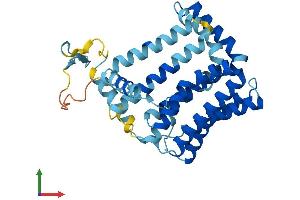 AlphaFold protein structure predicition of Mouse Recombinant Pex16 Protein, UniprotID Q91XC9