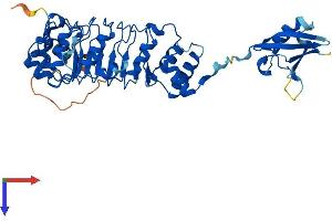 AlphaFold protein structure predicition of Mouse Recombinant Tbcel Protein, UniprotID Q8C5W3