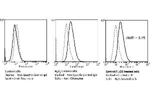 Flow Cytometry analysis using Mouse Anti-Dityrosine Monoclonal Antibody, Clone 10A6 (ABIN5067469). (Dityrosine anticorps)