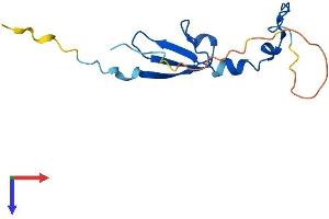 AlphaFold protein structure predicition of Human Recombinant EIF4EBP2 Protein, UniprotID Q13542