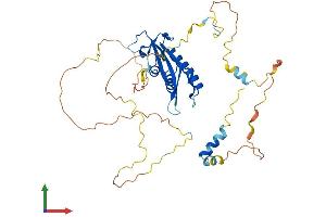 AlphaFold protein structure predicition of Mouse Recombinant Hs1bp3 Protein, UniprotID Q3TC93