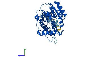 AlphaFold protein structure predicition of Mouse Recombinant Rdh12 Protein, UniprotID Q8BYK4