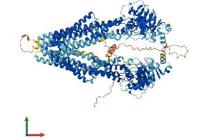AlphaFold protein structure predicition of Mouse Recombinant Abcb4 Protein, UniprotID P21440
