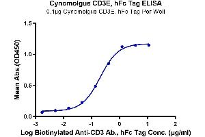 Immobilized Cynomolgus CD3E at 1 μg/mL (100 μL/Well). (CD3 epsilon Protein (CD3E) (AA 22-117) (Fc Tag))