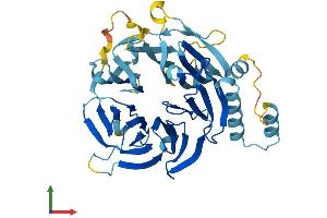 AlphaFold protein structure predicition of Human Recombinant DCAF4L2 Protein, UniprotID Q8NA75