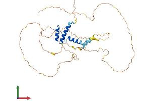 AlphaFold protein structure predicition of Mouse Recombinant Ssbp2 Protein, UniprotID Q9CYZ8