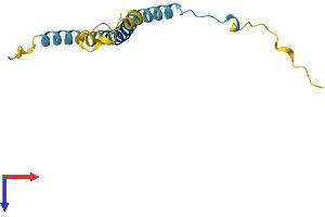 AlphaFold protein structure predicition of Mouse Recombinant Kcne1 Protein, UniprotID P23299