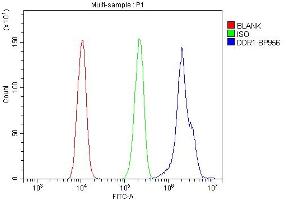 Flow Cytometry analysis of A431 cells using anti-DDR1 antibody (ABIN7601407). (DDR1 anticorps  (AA 341-909))