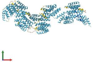 AlphaFold protein structure predicition of Human Recombinant TTC21A Protein, UniprotID Q8NDW8