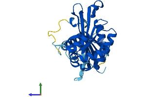 AlphaFold protein structure predicition of Mouse Recombinant Gclm Protein, UniprotID O09172