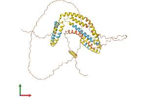 AlphaFold protein structure predicition of Mouse Recombinant Plin1 Protein, UniprotID Q8CGN5