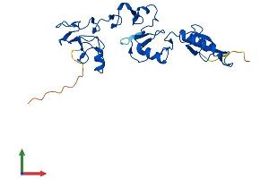 AlphaFold protein structure predicition of Human Recombinant RCHY1 Protein, UniprotID Q96PM5