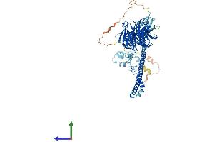 AlphaFold protein structure predicition of Mouse Recombinant Trim2 Protein, UniprotID Q9ESN6