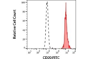 Separation of human CD20 positive lymphocytes (red-filled) from neutrophil granulocytes (black-dashed) in flow cytometry analysis (surface staining) of human peripheral whole blood stained using anti-human CD20 (2H7) FITC antibody (20 μL reagent / 100 μL of peripheral whole blood).